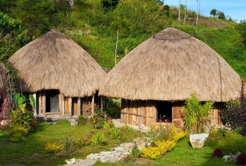 Honai Rumah Tradisional Papua yang Mencerminkan Budaya Lokal 