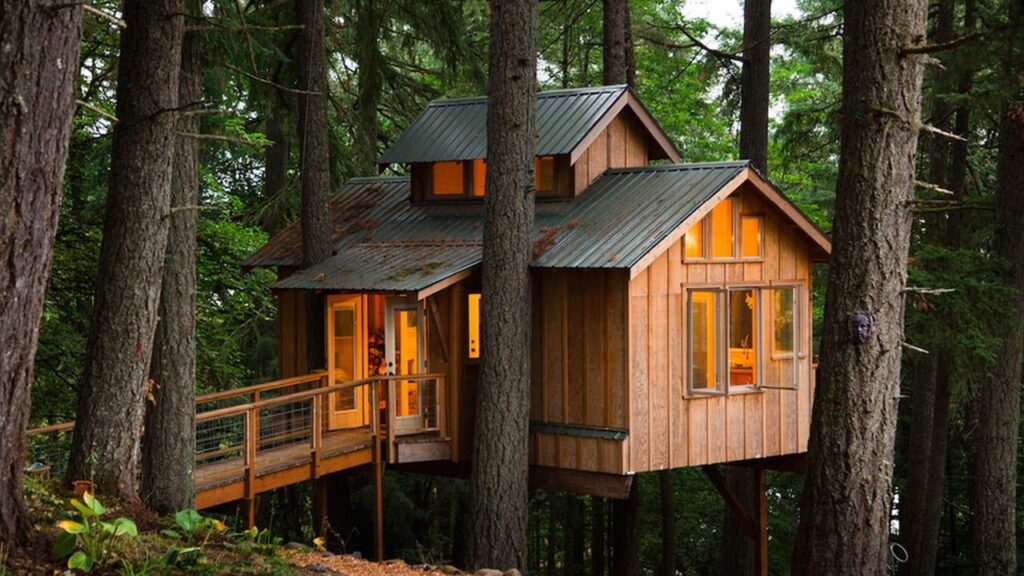 Menyatu dengan Alam, Keunikan Rumah Pohon di Tengah Hutan